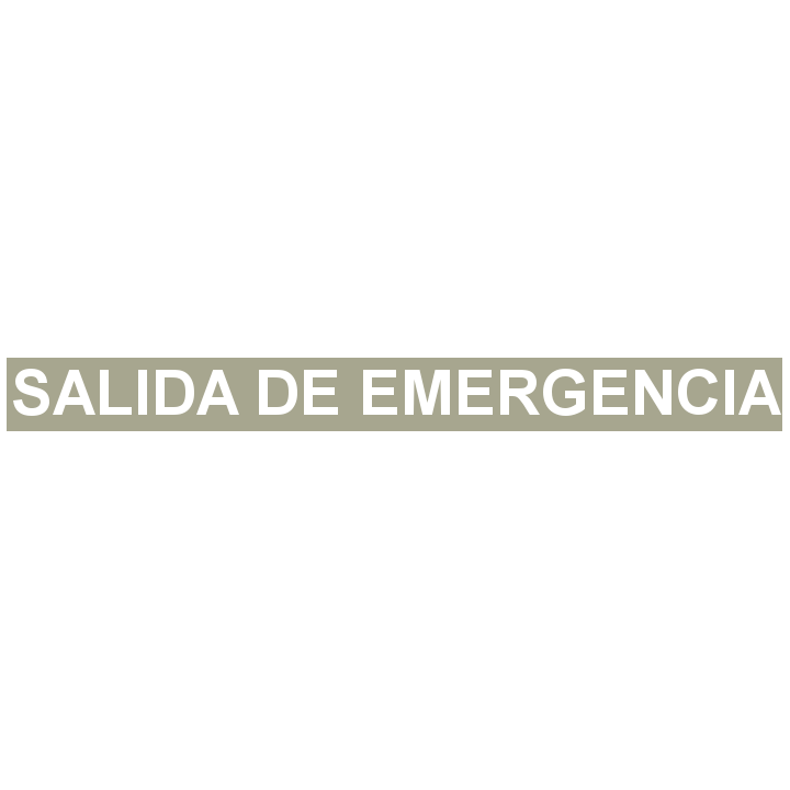 ADHESIVO SALIDA EMERGENCIA ANVERSO